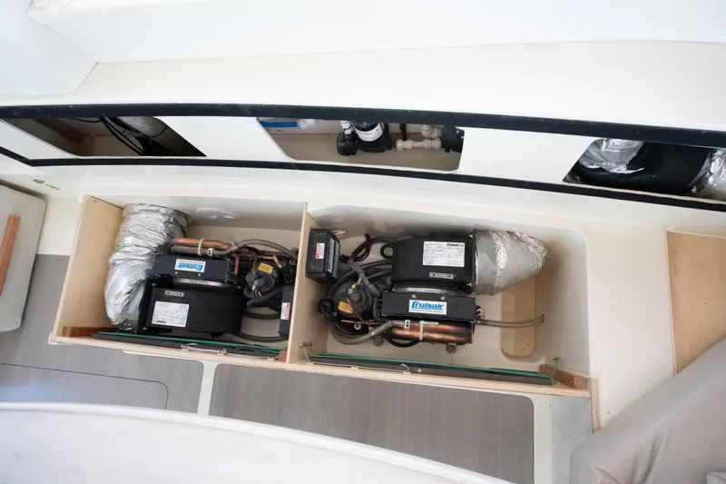 Slide: The Image of Leopard 44 2016 - 96