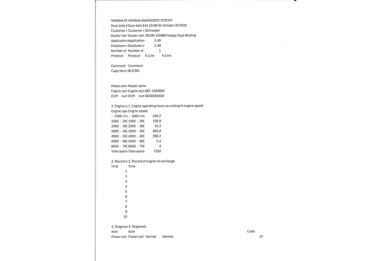 Slide: The Image of Yamaha diagnostic report for 2020 Triple Yamaha F300 engine, detailing operating hours and diagnostics. - 6