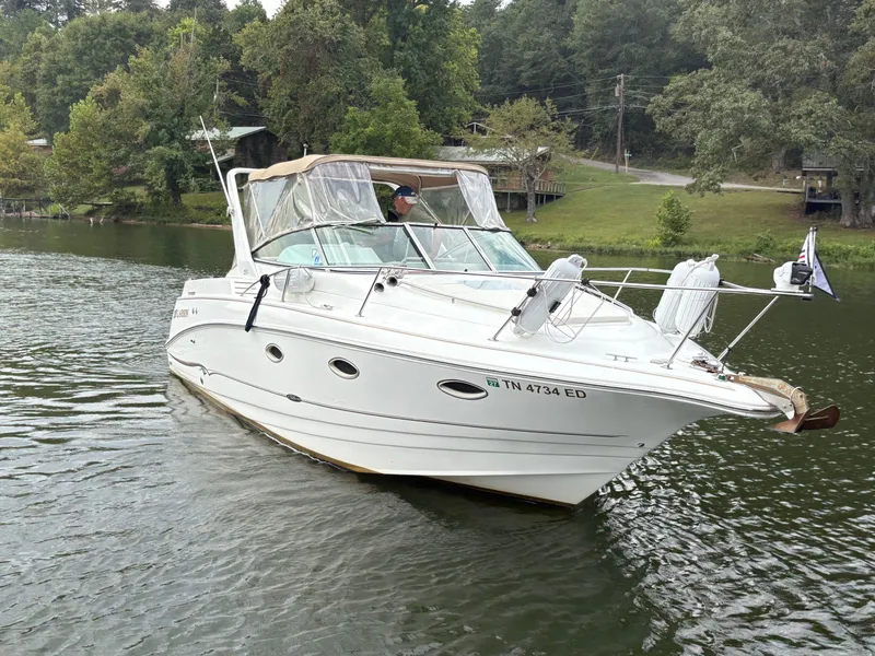 The Image of Larson Cabrio 290 2001 - 0