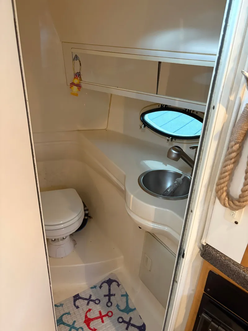 Slide: The Image of Larson Cabrio 290 2001 - 29