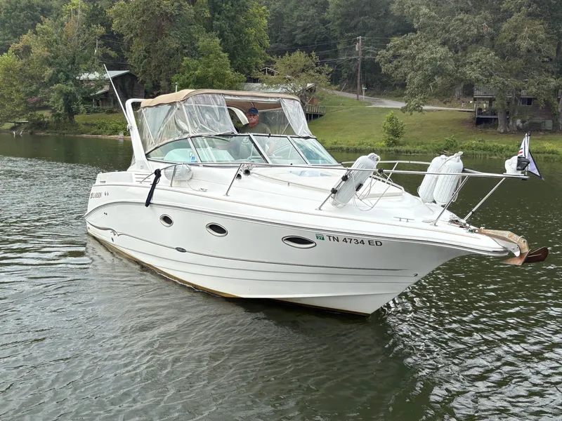 Slide: The Image of Larson Cabrio 290 2001 - 3