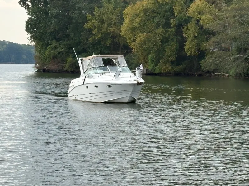 Slide: The Image of Larson Cabrio 290 2001 - 47