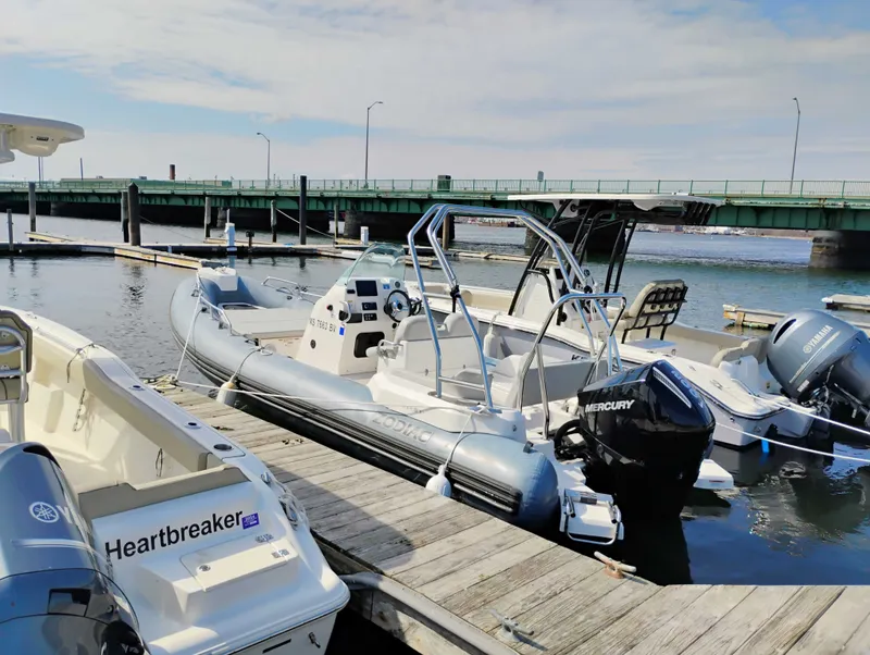 The Image of Zodiac Medline 6.8 2024 - 0