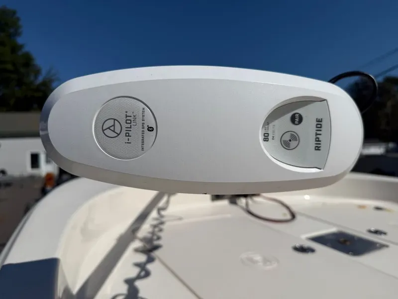 Slide: The Image of Carolina 162 JLS 2022 - 11