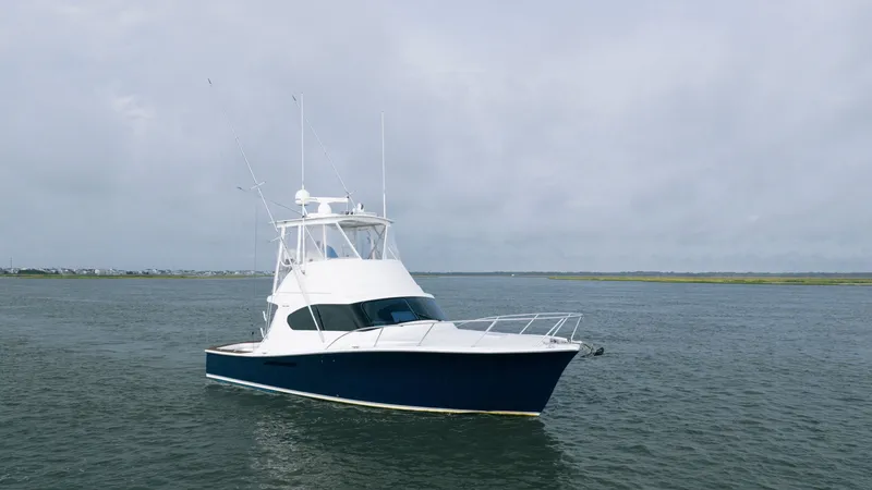 The Image of Ocean 37 Billfish 2016 - undefined