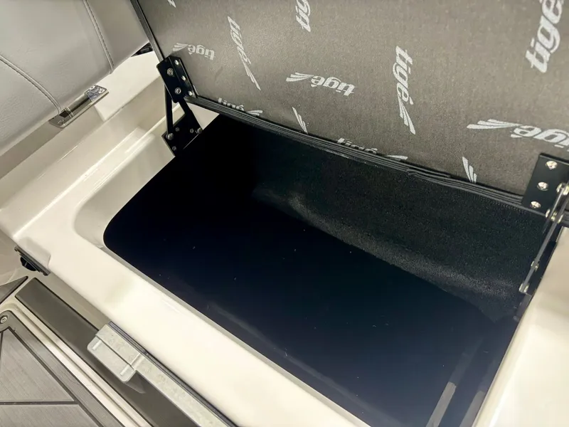 Slide: The Image of Tigé 22RZX 2025 - 19