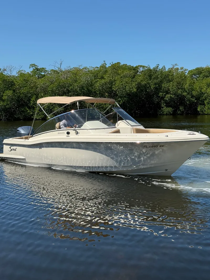 The Image of Scout 245 Dorado 2017 - 0