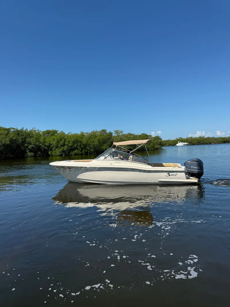 Slide: The Image of Scout 245 Dorado 2017 - 3