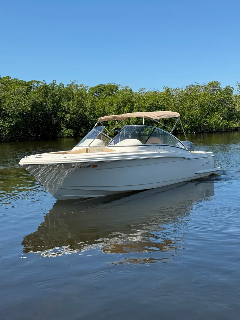 Slide: The Image of Scout 245 Dorado 2017 - 4