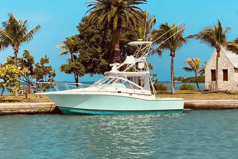 The Image of Cabo 31 Express 1996 boat docked by tropical palm trees and blue water. - 0