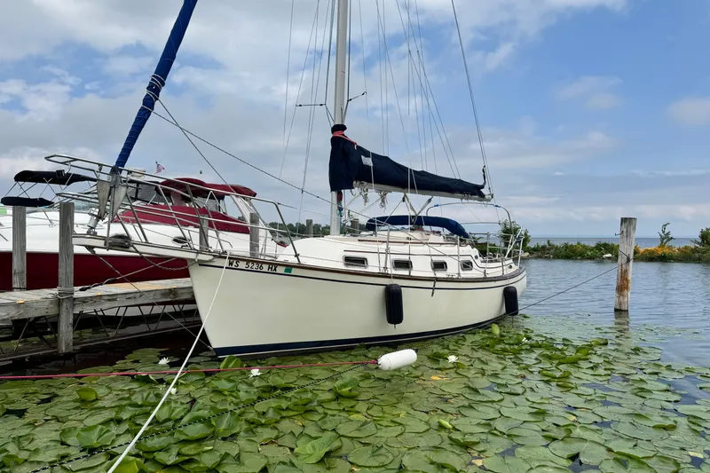 The Image of 1988 Island Packet 27 sailboat docked on a serene lake with lily pads. - 0