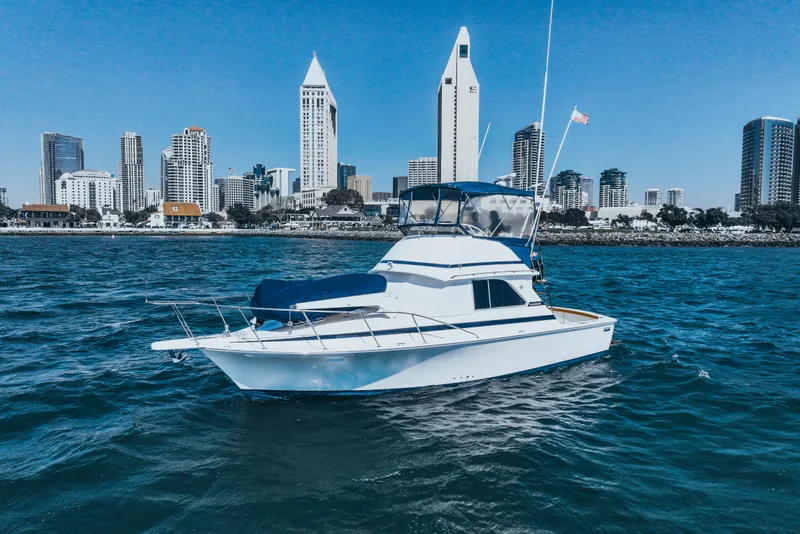 The Image of 1984 Bertram 35 Convertible yacht on water with city skyline backdrop. - 0