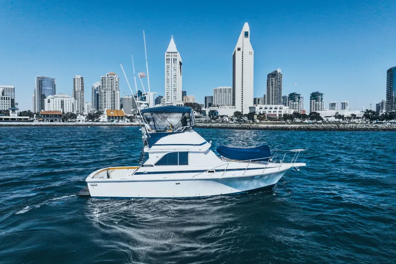 Slide: The Image of 1984 Bertram 35 Convertible yacht cruising near city skyline on a sunny day. - 3