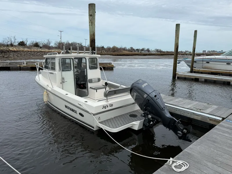 The Image of Defiance Admiral 220 EX 2024 - 0