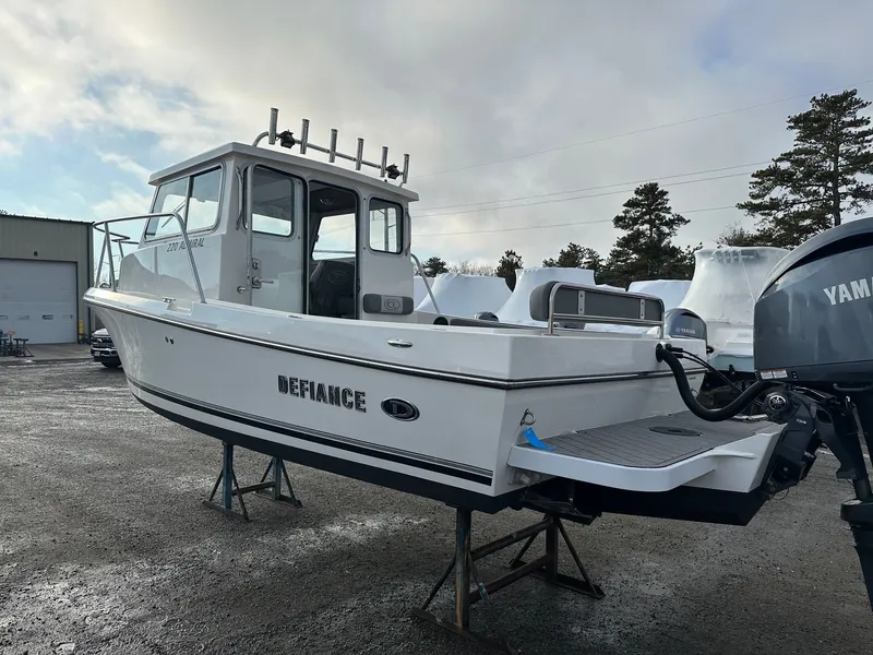 Slide: The Image of Defiance Admiral 220 EX 2024 - 34