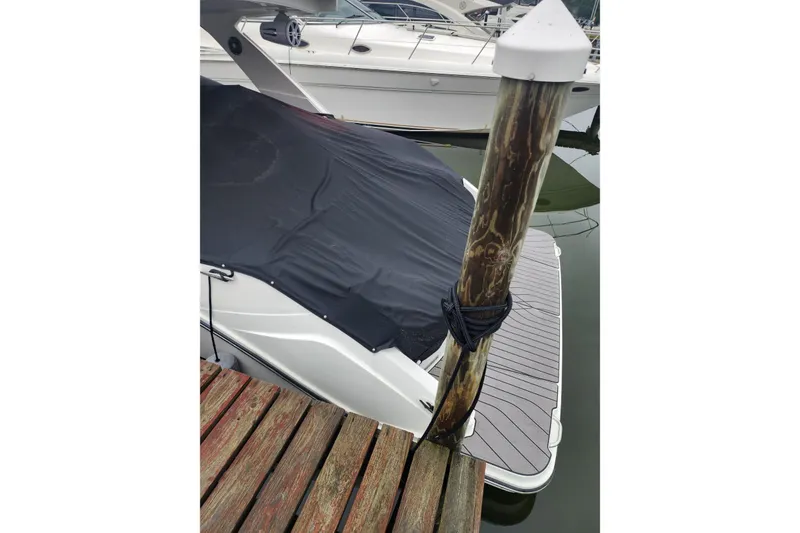 Slide: The Image of 2023 Sea Ray SLX 310 boat docked, covered with a black tarp. - 38