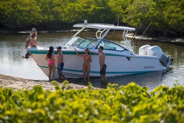 The Image of Blackfin 272 DC 2026 - 1