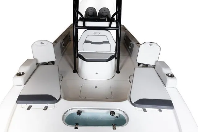 Slide: The Image of Sea Pro 250 DLX BAY 2026 - 13