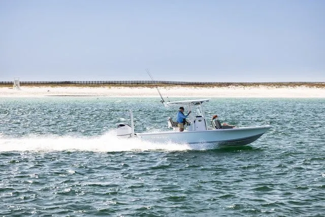 Slide: The Image of Sea Pro 250 DLX BAY 2026 - 3