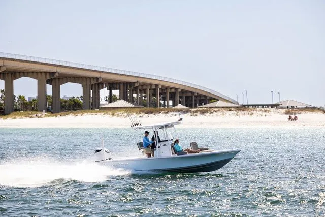 Slide: The Image of Sea Pro 250 DLX BAY 2026 - 4