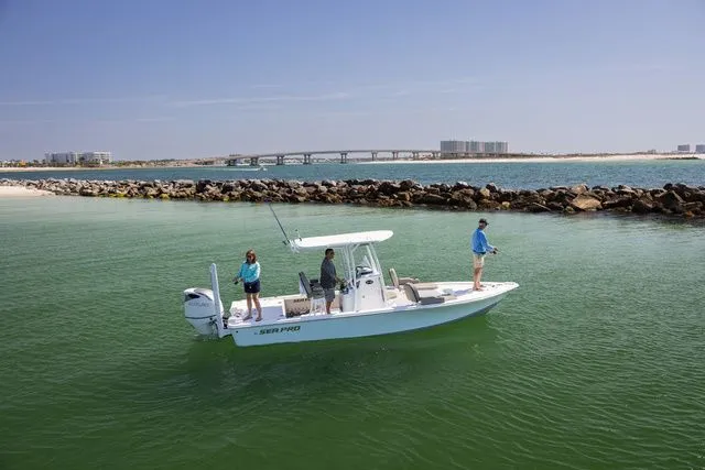 Slide: The Image of Sea Pro 250 DLX BAY 2026 - 5