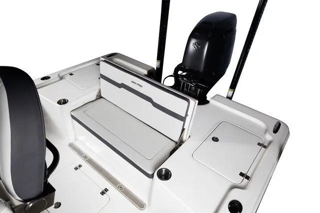 Slide: The Image of Sea Pro 250 DLX BAY 2026 - 9