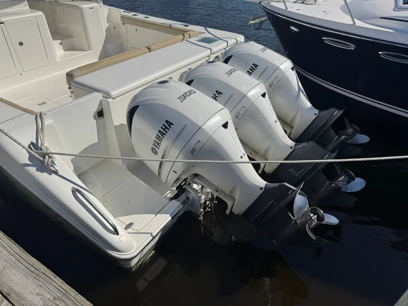 Slide: The Image of Pursuit 385OS 2020 - 21