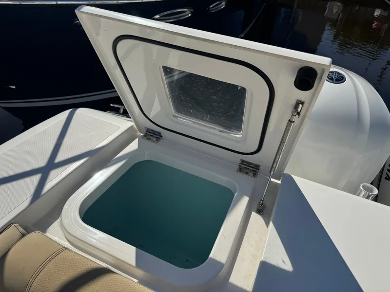 Slide: The Image of Pursuit 385OS 2020 - 29