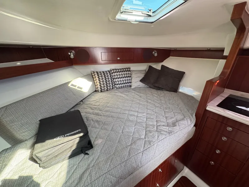 Slide: The Image of Pursuit 385OS 2020 - 37