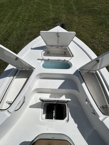 Slide: The Image of Sea Pro 250 DLX BAY 2025 - 7