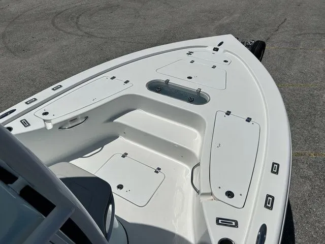 Slide: The Image of Sea Pro 250 DLX BAY 2025 - 9