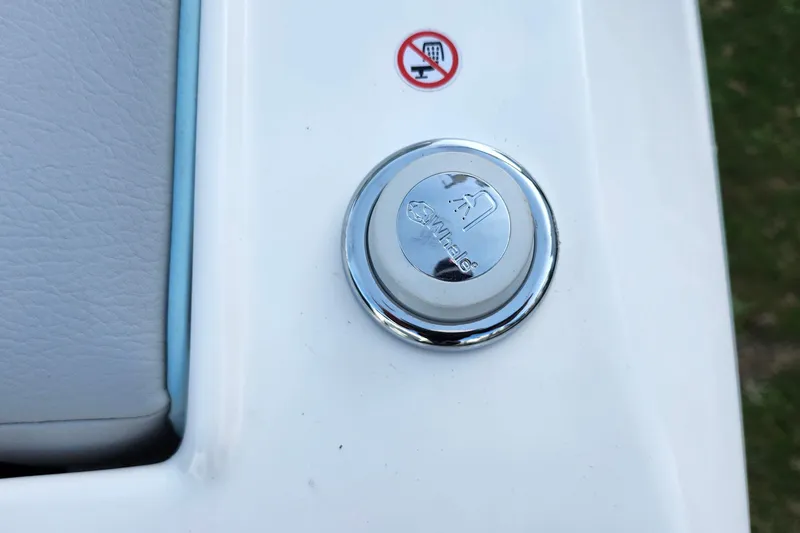 Slide: The Image of Chrome button on 2026 Regal LX9 boat with Whale logo and no-shoes sign. - 45