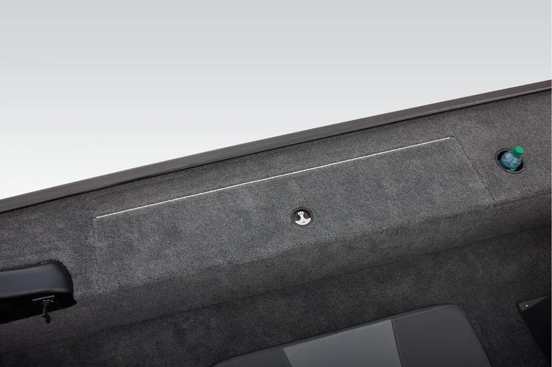 Slide: The Image of Tracker Panfish 17 2026 - 32