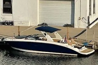 The Image of 2019 Sea Ray SDX 290 boat docked at marina, featuring sleek design and blue canopy. - 0