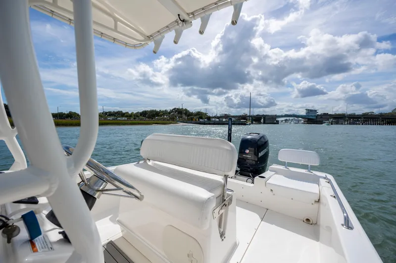 Slide: The Image of 2018 Boston Whaler 210 Montauk boat on water under cloudy sky. - 24