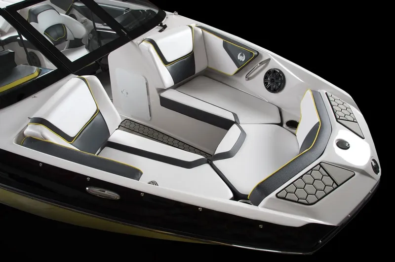 Slide: The Image of Scarab 195 ID 2018 - 10