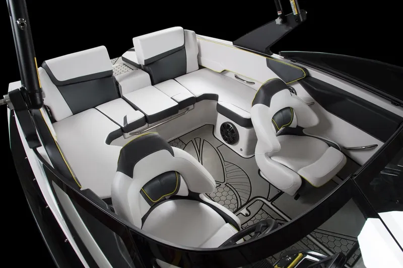 Slide: The Image of Scarab 195 ID 2018 - 13