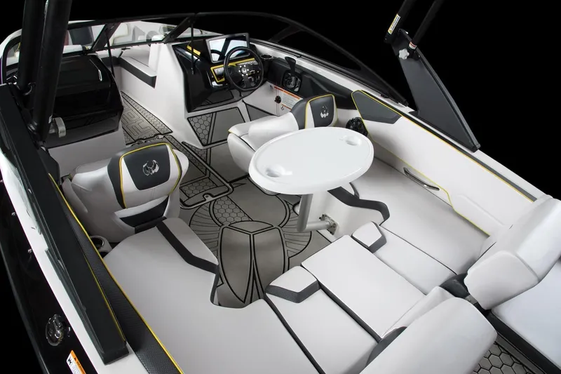 Slide: The Image of Scarab 195 ID 2018 - 15