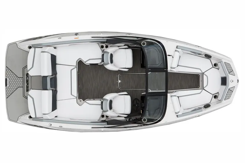 Slide: The Image of Scarab 195 ID 2018 - 16