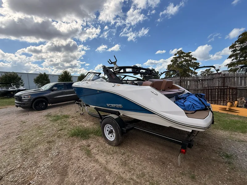 Slide: The Image of Scarab 195 ID 2018 - 3