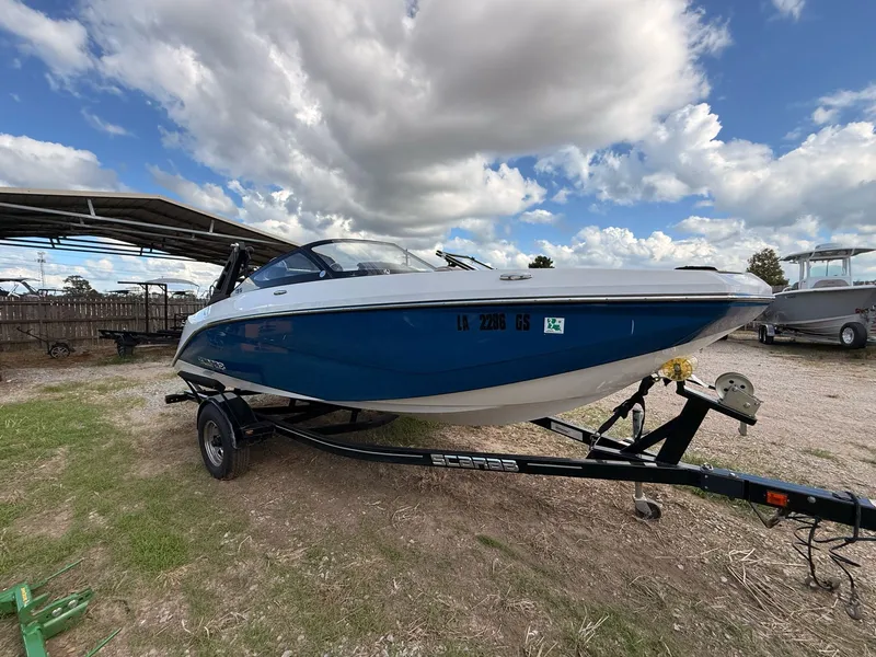 Slide: The Image of Scarab 195 ID 2018 - 6