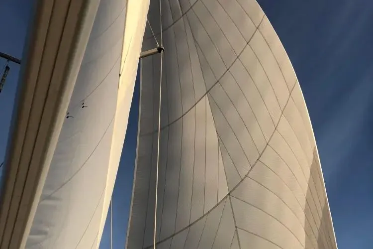 Slide: The Image of 2018 Jeanneau Sun Odyssey 479 - Image 22 - 22
