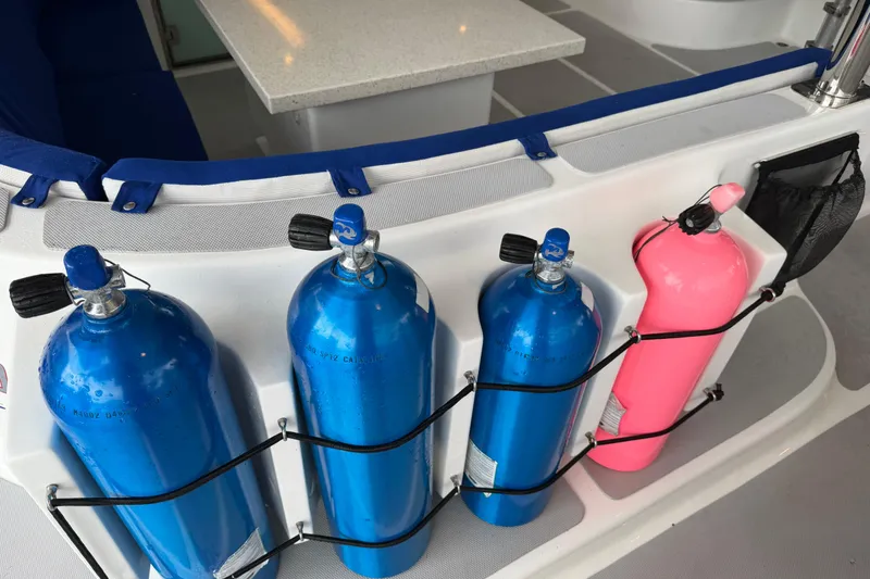 Slide: The Image of Diving tanks on a 2023 Royal Cape Catamarans Majestic 530, featuring blue and pink cylinders. - 51