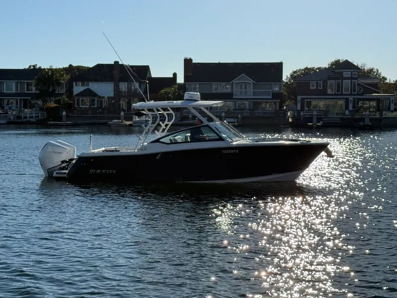 Slide: The Image of Blackfin 272 DC 2022 - 1