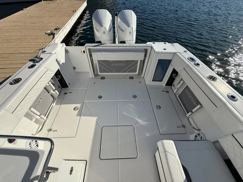 Slide: The Image of Blackfin 272 DC 2022 - 10