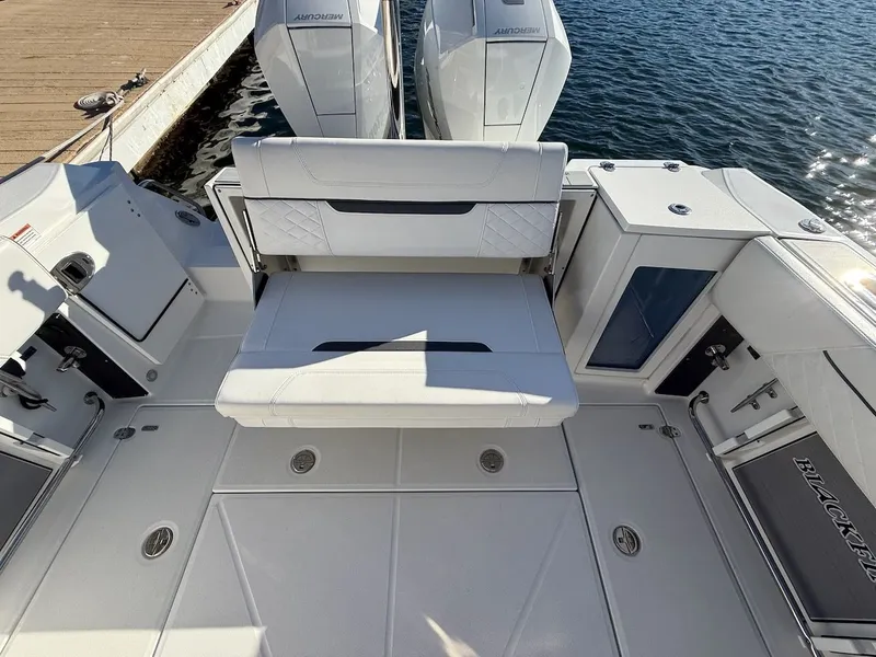 Slide: The Image of Blackfin 272 DC 2022 - 12