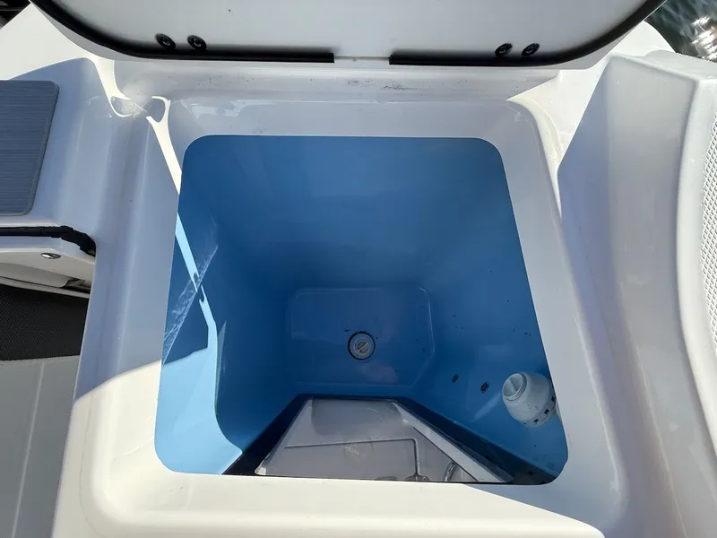 Slide: The Image of Blackfin 272 DC 2022 - 14