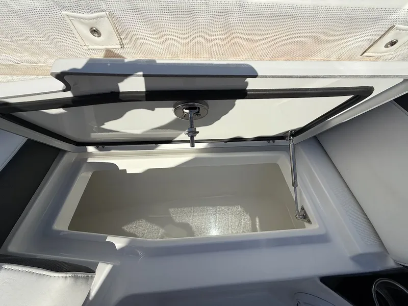 Slide: The Image of Blackfin 272 DC 2022 - 21