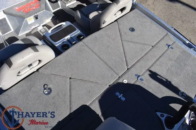 Slide: The Image of Bass Cat Caracal STS 2025 - 10