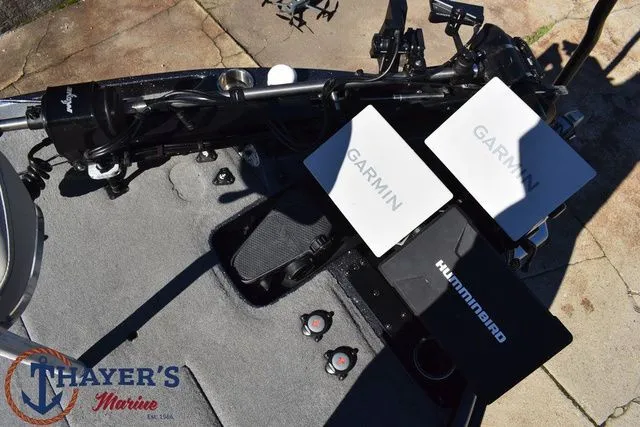 Slide: The Image of Bass Cat Caracal STS 2025 - 16